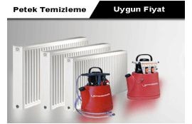 Petek Temizleme